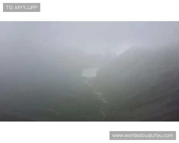 斗球直播tv版下载安装过程中遇到的常见错误及解决技巧